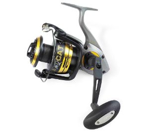 Black Cat Battle Cat Spin FD