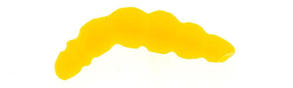 Game by Laboratorio Larva Bioillogica