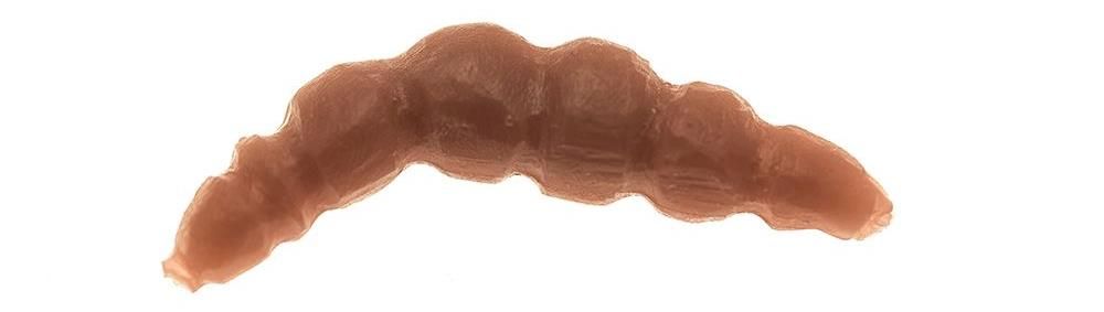 Game by Laboratorio Larva Bioillogica