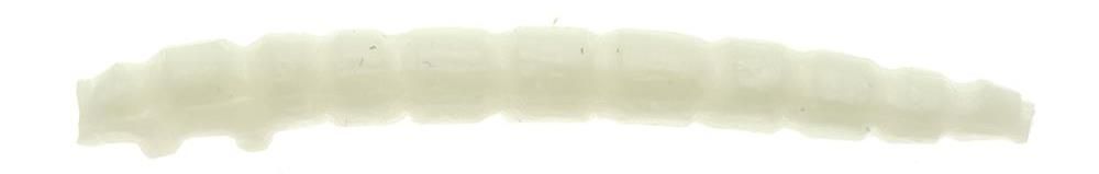 Game by Laboratorio Camola Bioillogica