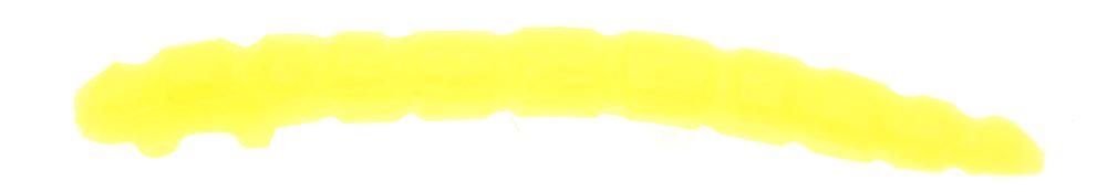 Game by Laboratorio Camola Bioillogica