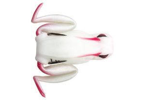 Lunkerhunt Popping frog