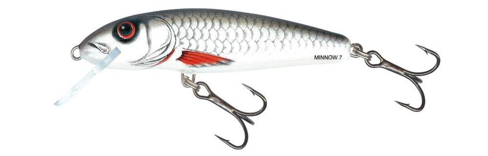 Salmo Minnow