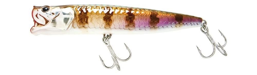 Molix Popper 130T -  85T