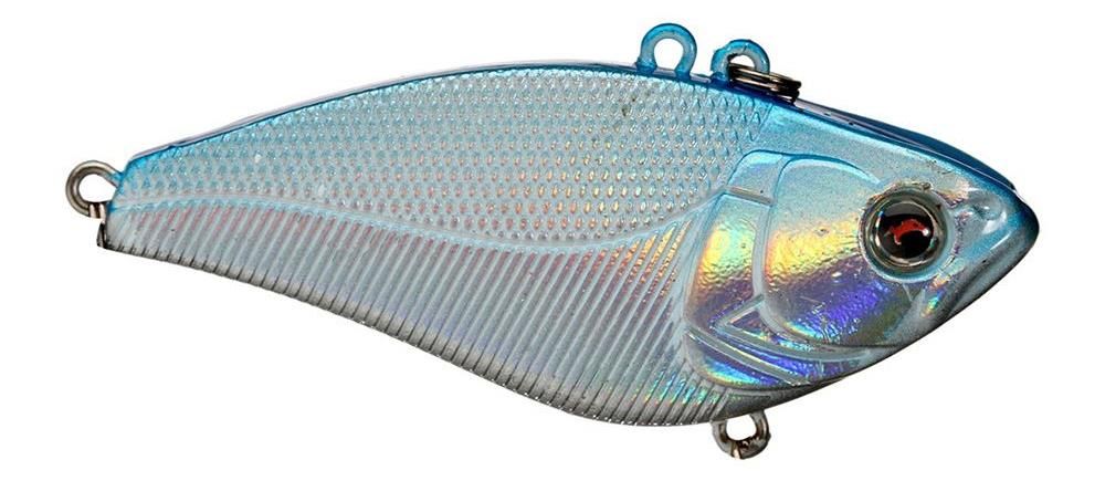 Vicious Xtreme Vibration