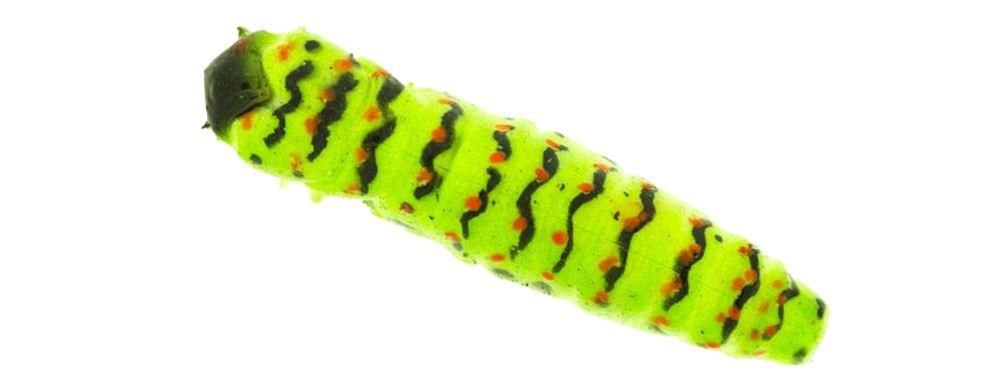 Molix Caimano Worm