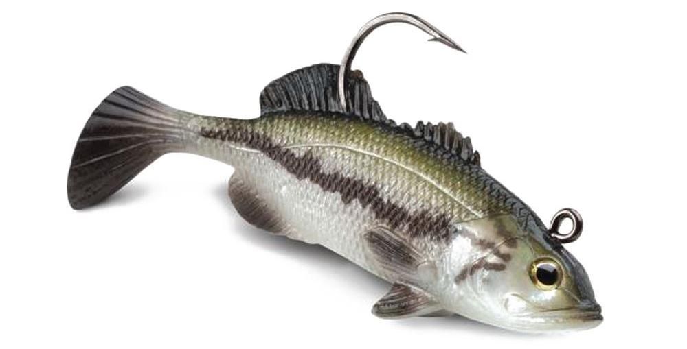 Storm Wildeye Live Baby Bass swimbaits