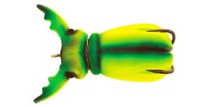 Molix Supernato Beetle Baby