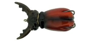 Molix Supernato Beetle Baby