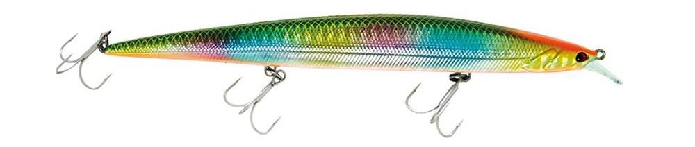 Molix Jugulo Jerk  LC