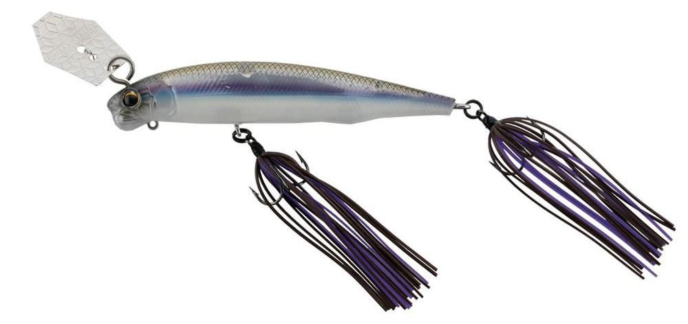 Imakatsu Alive Chatter