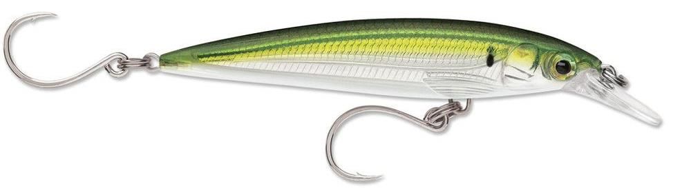 Jerkbaits di colore Pilchard del prodotto Rapala X-Rap Long-Cast di marca Rapala