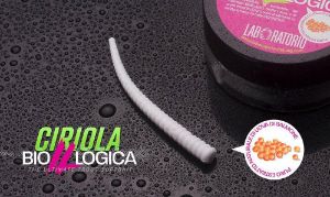 Game by Laboratorio Ciriola Bioillogica