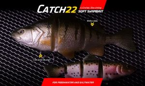 Castaic Catch 22 Swimbait