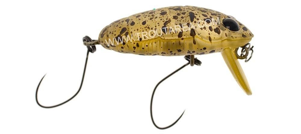 Nories Crankin' Pupa Shallow