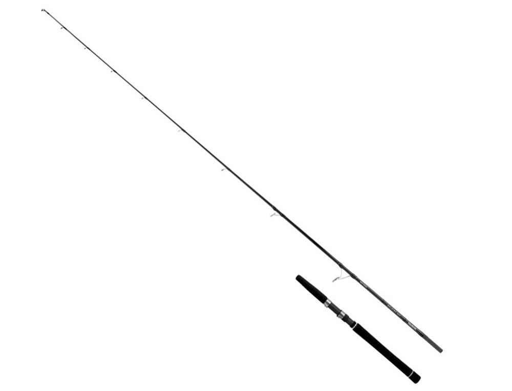 Canne Spinning Monopezzo del prodotto Daiwa Saltist Inshore spinning rods di marca Daiwa