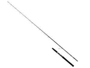 Canne Spinning Monopezzo del prodotto Daiwa Saltist Inshore spinning rods di marca Daiwa