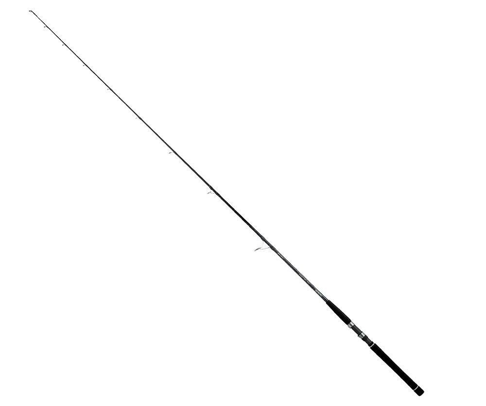 Canne Spinning Monopezzo del prodotto Daiwa Saltist Inshore spinning rods di marca Daiwa