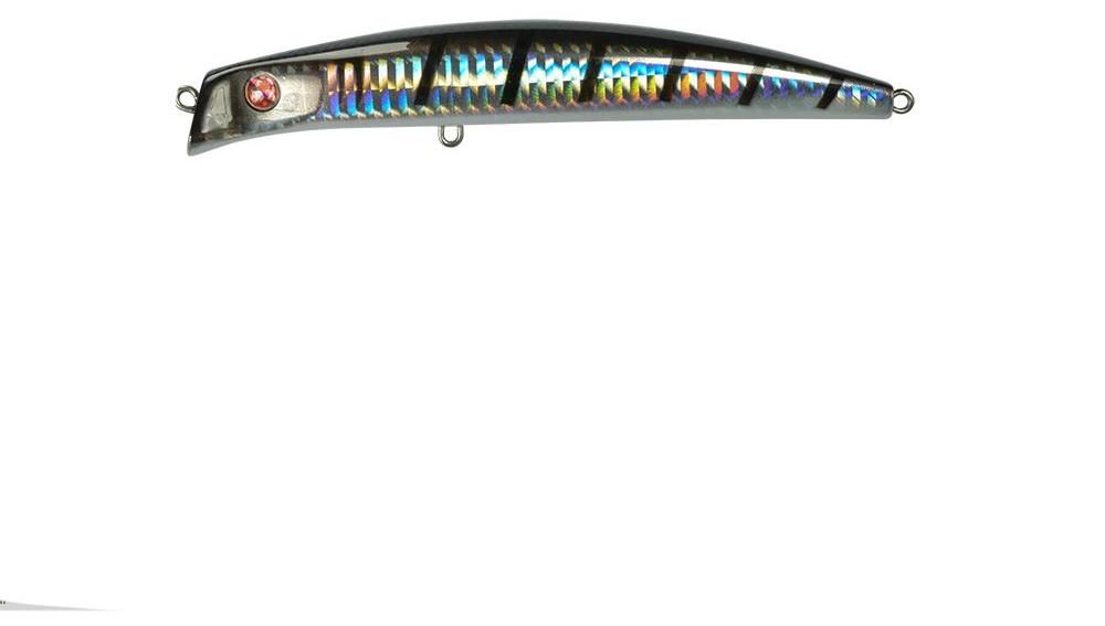 Seaspin Coixedda 130