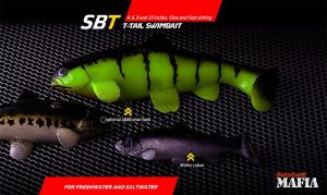 Castaic SBT Swimbait