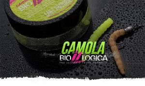 Game by Laboratorio Camola Bioillogica