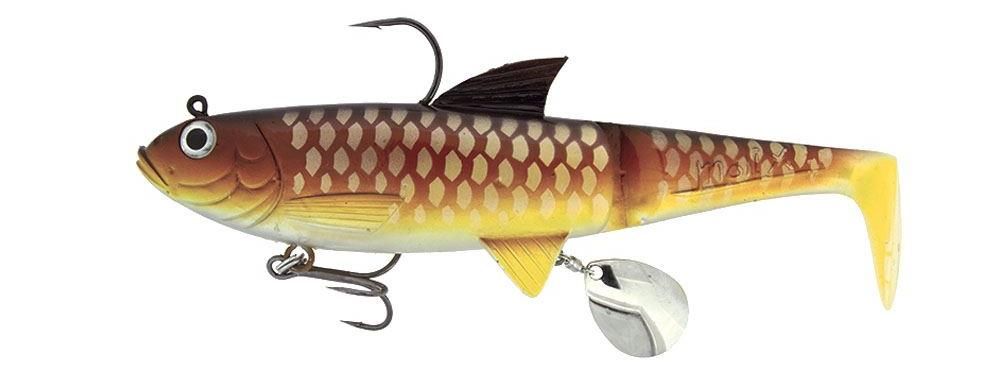 Molix Shad