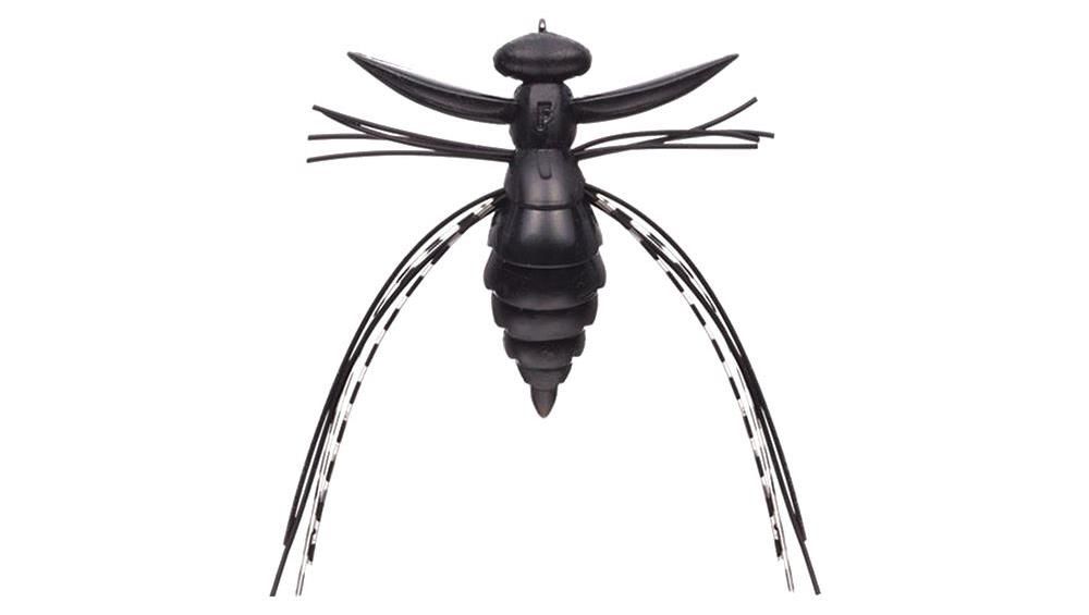 Evergreen Fact Gizmo