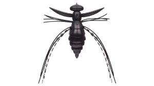 Evergreen Fact Gizmo