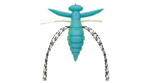 Evergreen Fact Gizmo