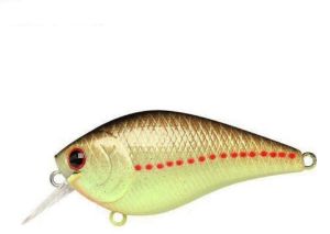 Lucky Craft LC 2.5 shallow crank