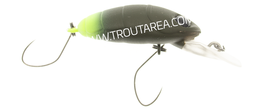 Nories Crankin' Pupa