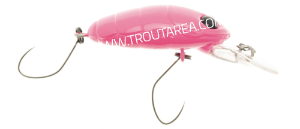 Nories Crankin&#x27; Pupa