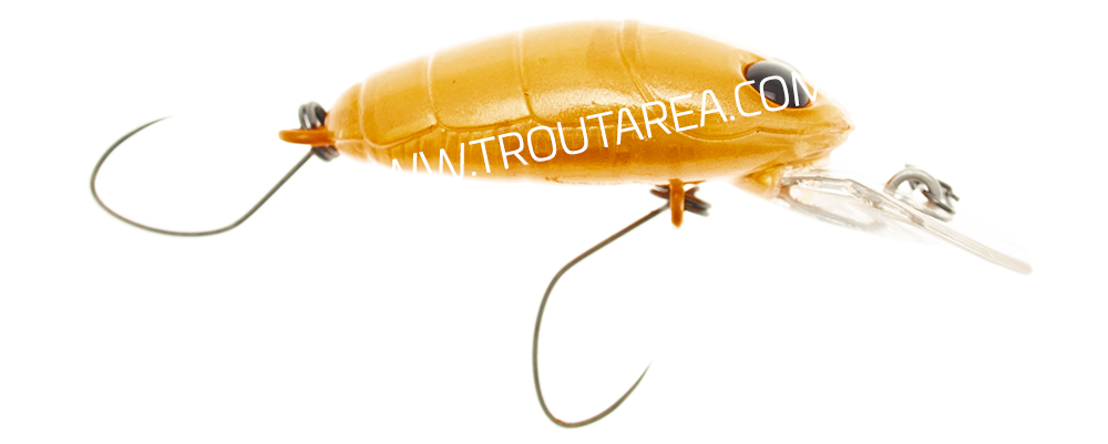 Nories Crankin' Pupa