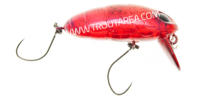 Nories Crankin&#x27; Boss Pupa Shallow