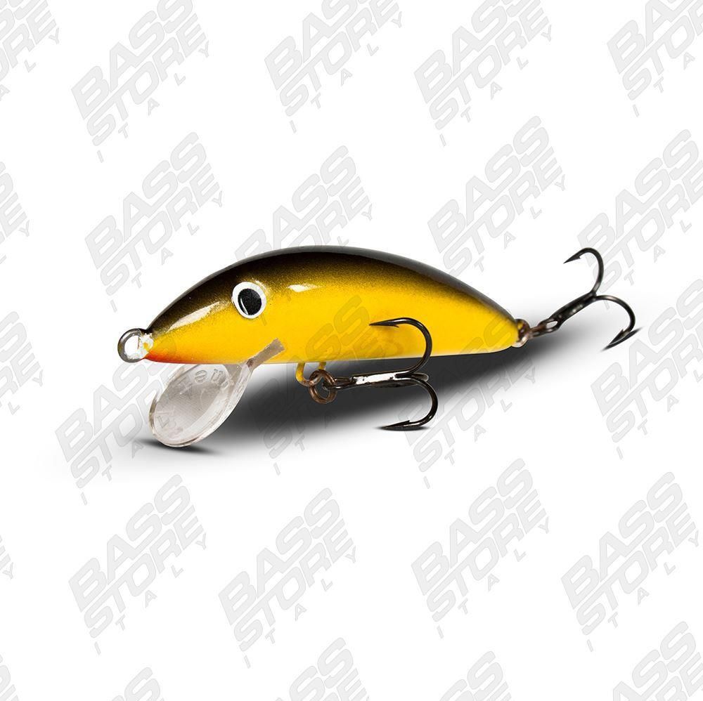 Real Winner Minnow Evolution