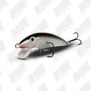 Real Winner Minnow Evolution