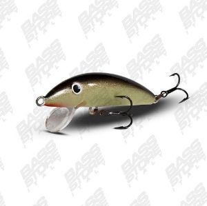 Real Winner Minnow Evolution