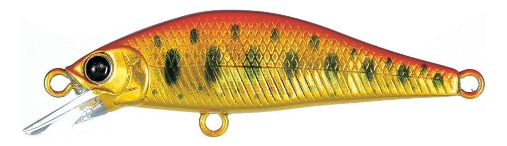 Lucky Craft Pointer 50 ~Watch~ Native Master