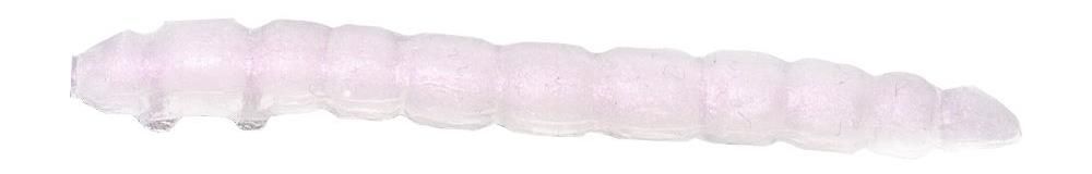 Game by Laboratorio Camola Bioillogica