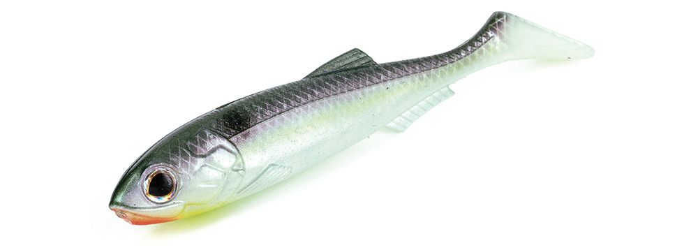 Molix RT Shad