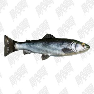 Savage Gear 4D  Line-Thru Pulse Tail Swimbait 