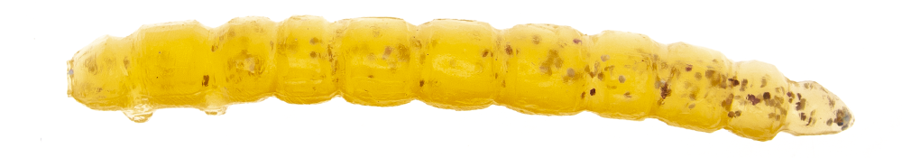 Game by Laboratorio Camola Bioillogica