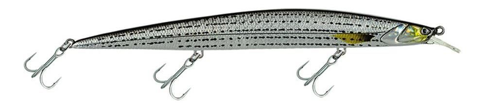 Molix Jugulo Jerk  LC