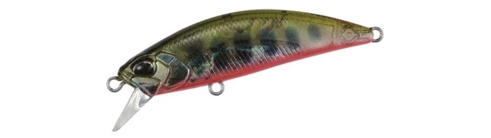 Duo Spearhead Ryuki Awabi