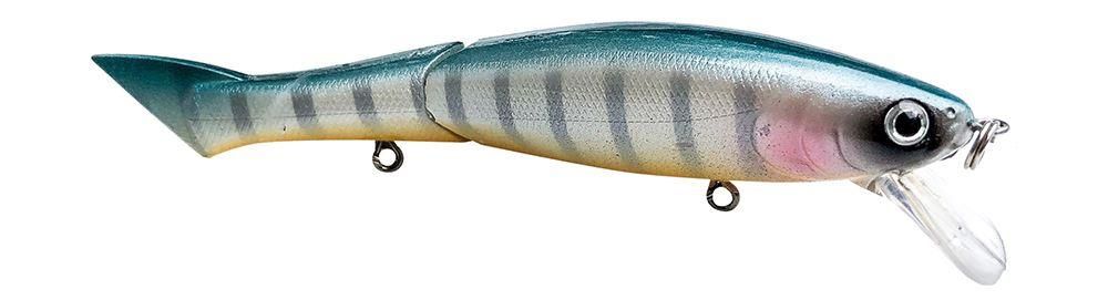 Swimbait di colore Sexy Perch del prodotto Castaic Dying Jerk di marca Castaic