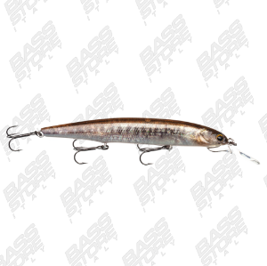 Imakatsu Dardo 100 SP 