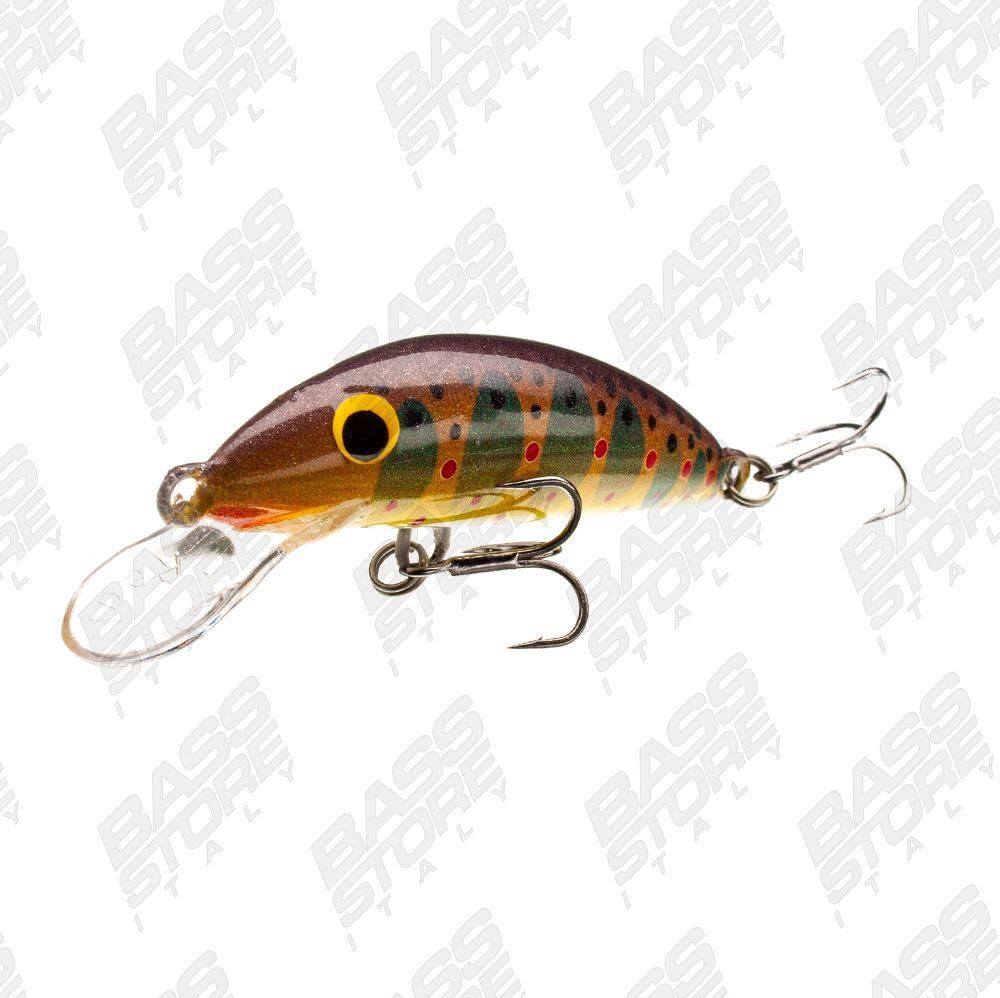 Real Winner Minnow Evolution