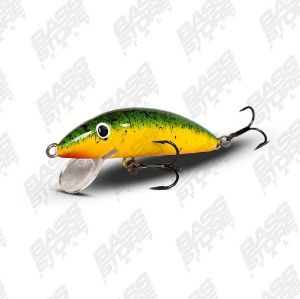 Real Winner Minnow Evolution