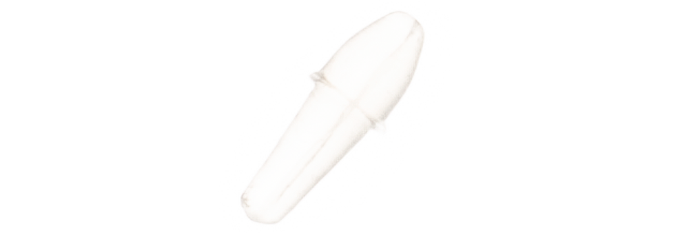 Legio Aurea Sistens Stoppers