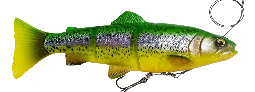 Savage Gear 4D Line Thru Trout | Pike and Bass Swimbait - Bass Store Italy: Over 50K Fishing Tackle Products Ready to Ship Savage Gear 4D Line Thru Trout | Pike and Bass Swimbait - Bass Store Italy: Over 50K Fishing Tackle Products Ready to Ship